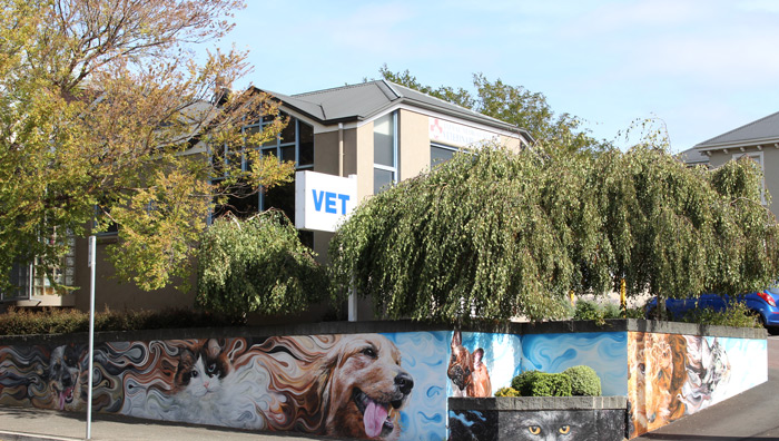 Animal Medical Centre | Launceston Vet | 24/7 Veterinary Clinic